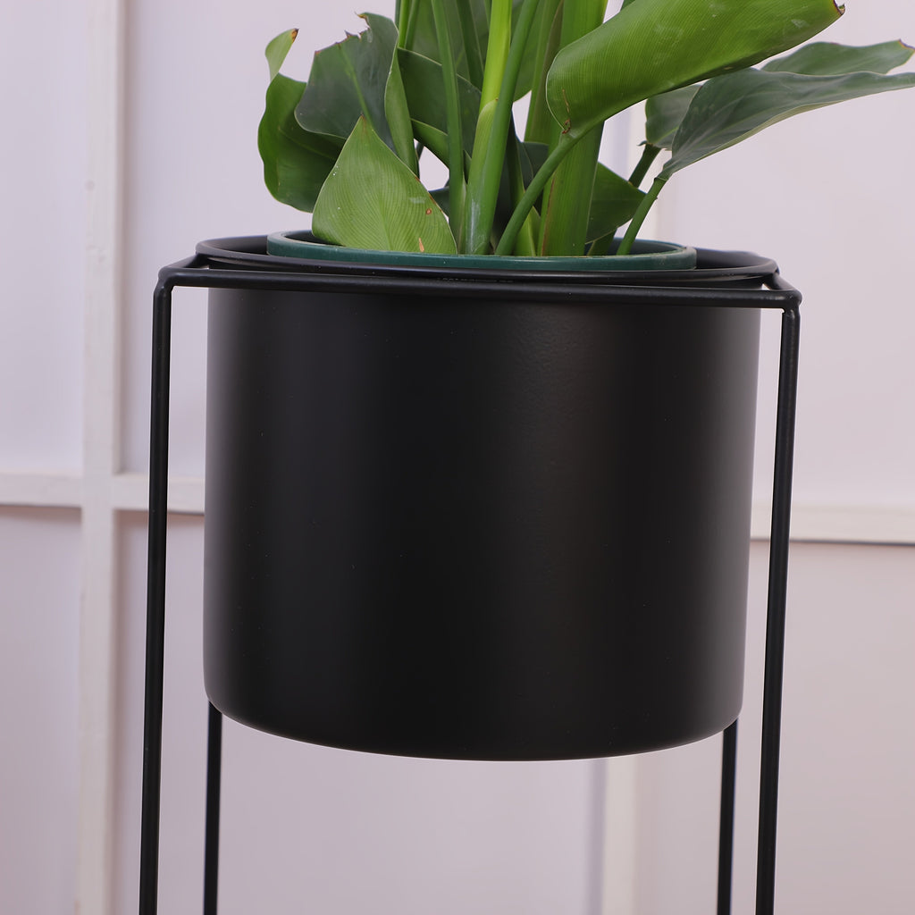 Support à plantes en métal noir | 40 ou 60 cm de hauteur