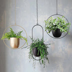 Jardinière suspendue FloraFrame | Fer, modèle rond ou ovale