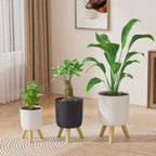 Cache-pot rond sur pieds en bois | 3 tailles, 2 coloris