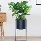 Support à plantes en métal noir | 40 ou 60 cm de hauteur